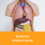 Anatomy Online Course