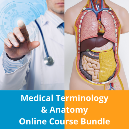 Medical Terminology and Anatomy Online Course Bundle